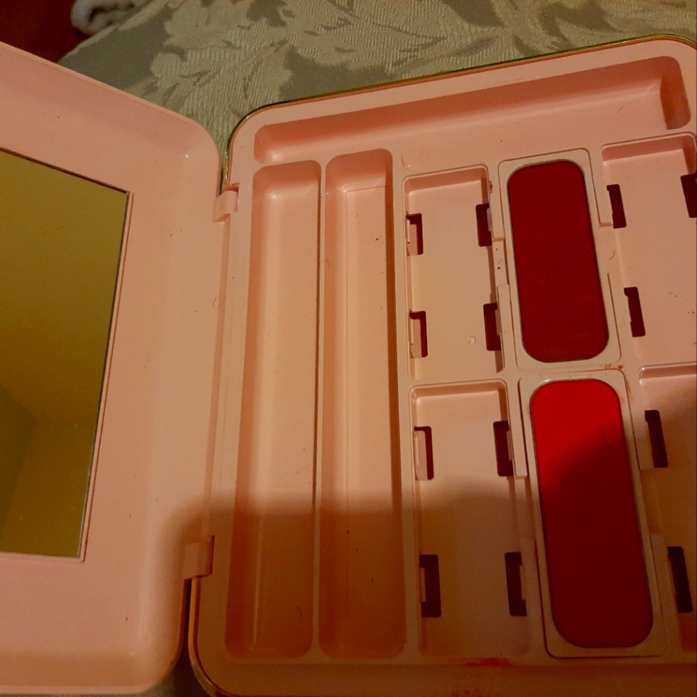 Mary Kay Storage Case With Two Blushes